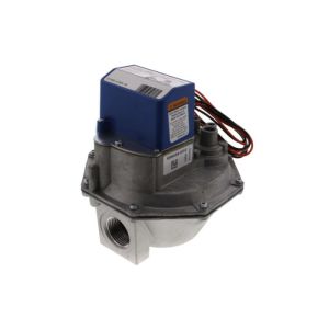 Diaphragm Gas Valve, 1 in., NPT