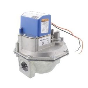 Diaphragm Gas Valve, 2 in., NPT