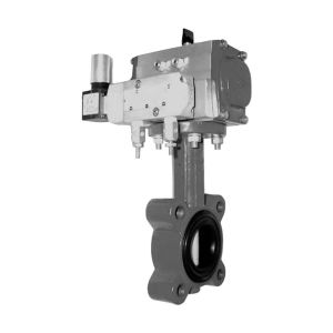 Butterfly Valve, 2 Way, 6 in.