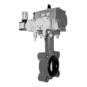 Butterfly Valve, 2 Way, 8 in.