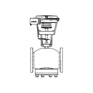 Globe Valve Assembly, 2 Way, 2-1/2 in.