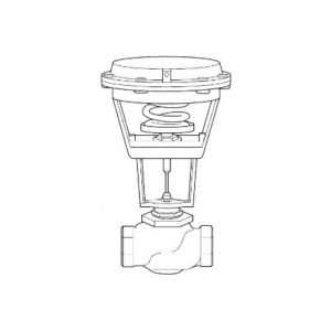 Globe Valve Assembly, 2 Way, 2 in.