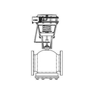 Globe Valve Assembly, 2 Way, 2-1/2 in.