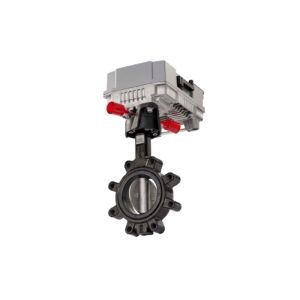 Butterfly Valve, 2 Way, 10 in.