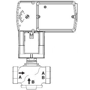 Globe Valve Assembly, 2 Way, 1-1/4 in.