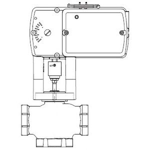 Globe Valve Assembly, 3 Way, 1/2 in.