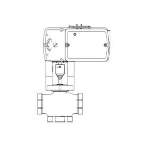 Globe Valve Assembly, 3 Way, 1-1/4 in.