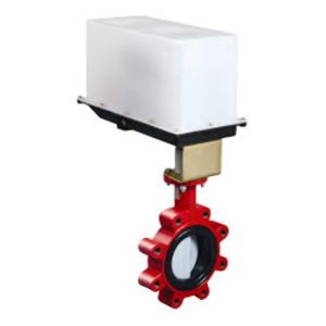 Butterfly Valve Assembly, 2 Way, 5 in.