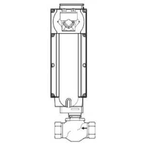 Globe Valve Assembly, 2 Way, 2 in.